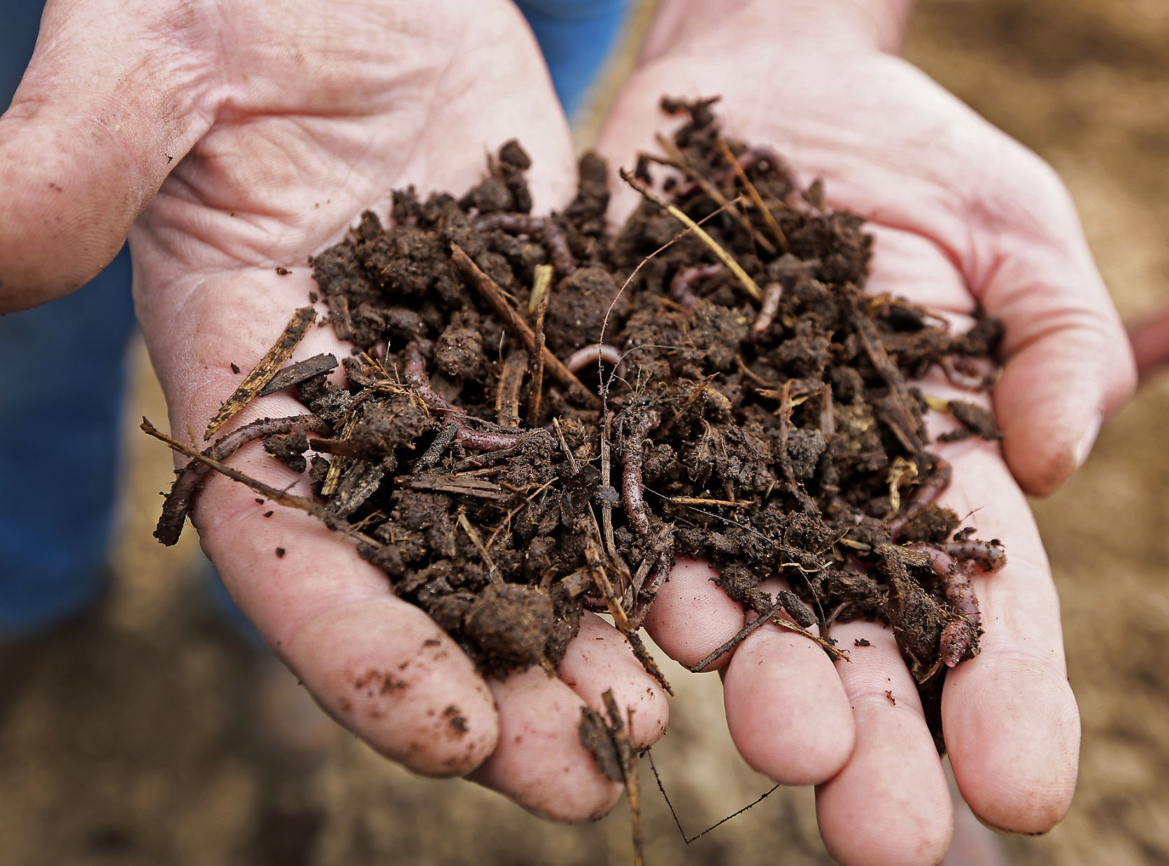 Worm Farm